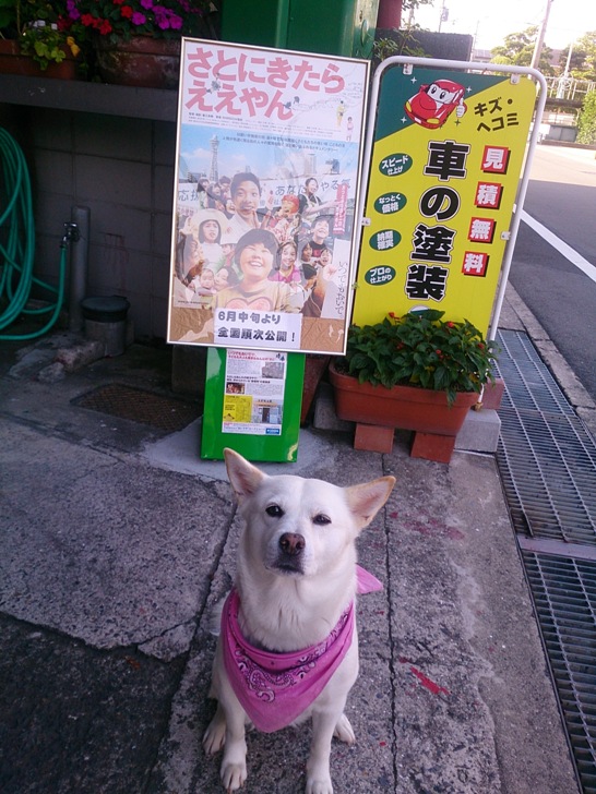 宣伝 (8).jpg