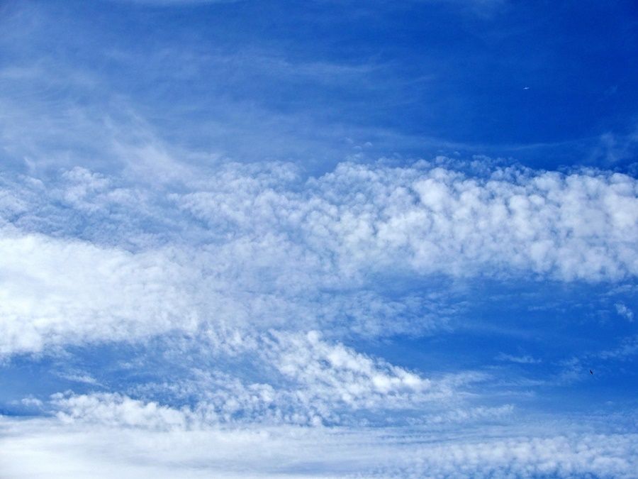 空2