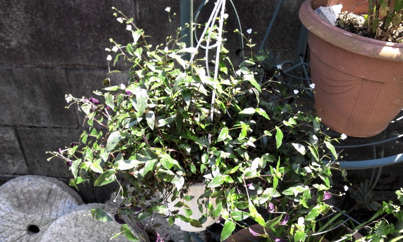 2012-05-14 11:01:51