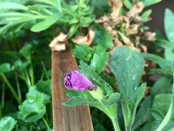 rblog-20190423182704-04.jpg