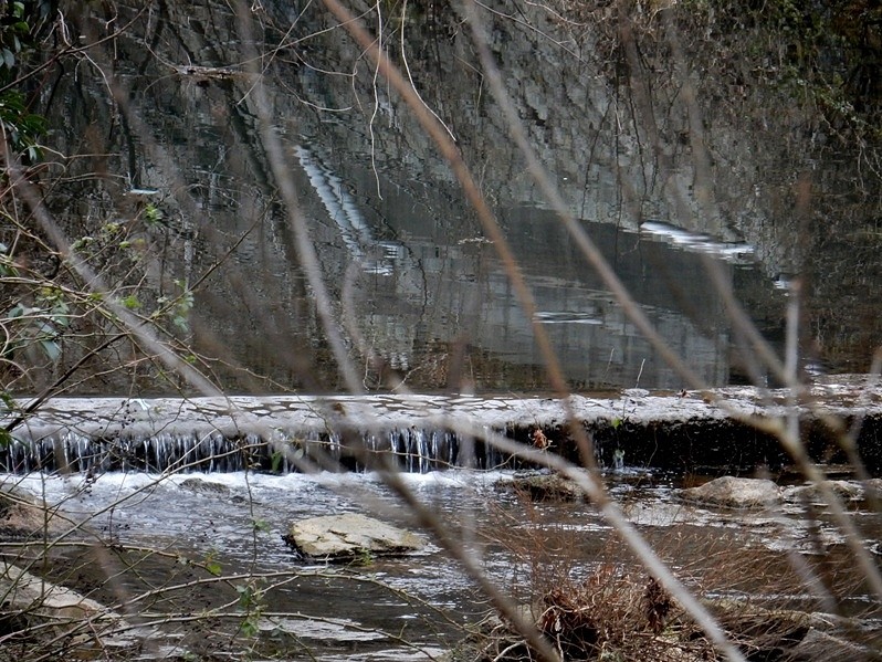 烏原川6.JPG
