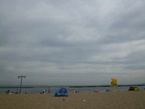 P1110594(1).JPG