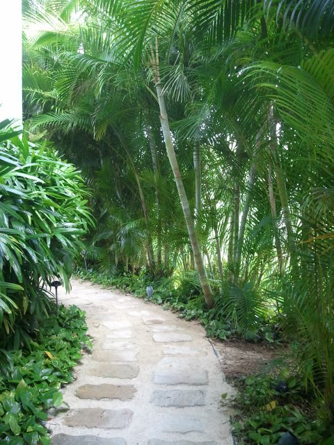 2012-02-25 05.21.28.jpg