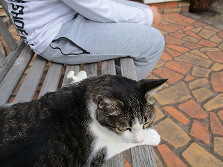 IMG_9505ss.jpg