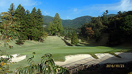 PA234855-2.jpg