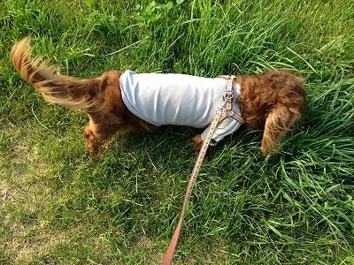 2015-06-15 16.53.45.jpg