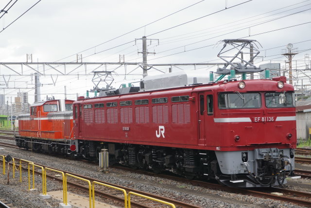 EF81 136牽引 DD51 842 盛岡展示 返却配給4