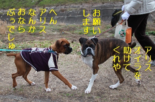 おなら