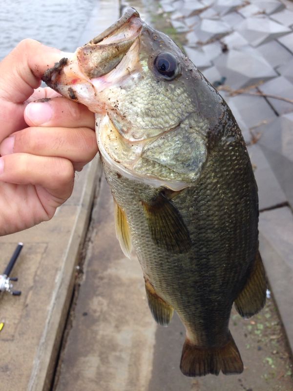 rblog-20140606141810-02.jpg