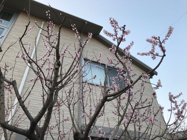rblog-20180325184946-02.jpg