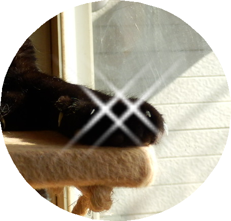 P1110108-crop.png