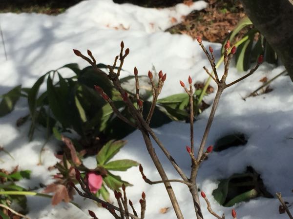 rblog-20160126233918-00.jpg