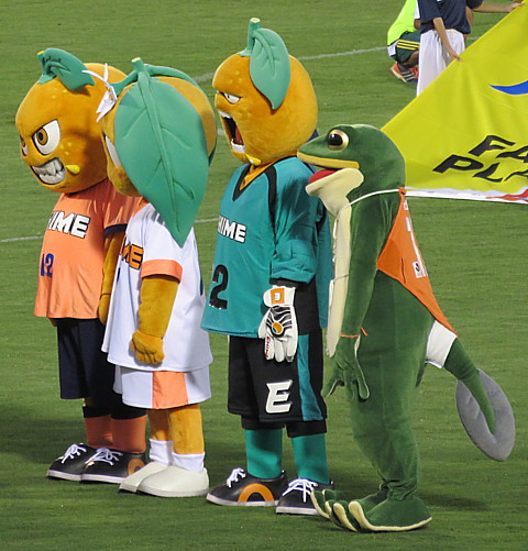 IMG_5412.jpg