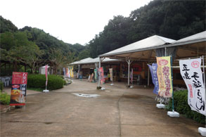 九州462.jpg