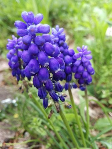 rblog-20180504182216-05.jpg