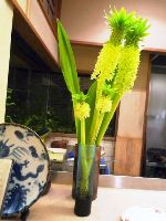 2012年07月16日_P1090471 - コピー.jpg