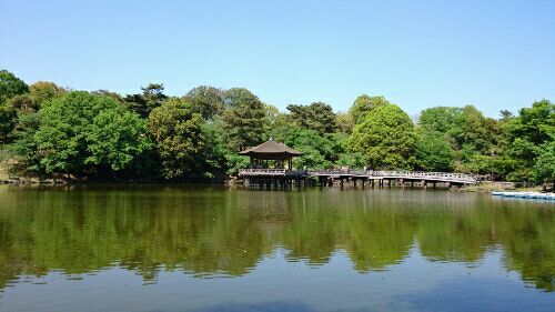 rblog-20170508223241-01.jpg