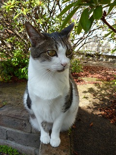 P1180038ss.jpg