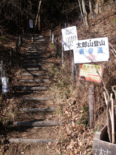 IMGP4986 (480x640).jpg