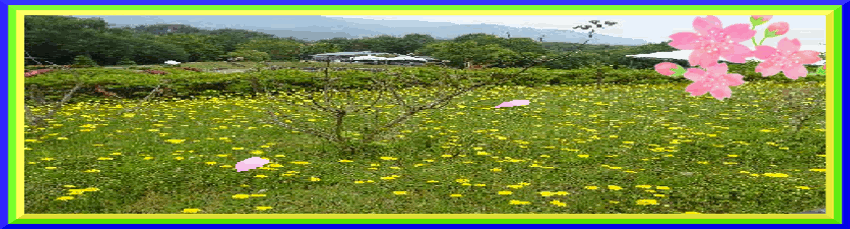 紅葉散る | 34わたしのブログへようこそ - 楽天ブログ