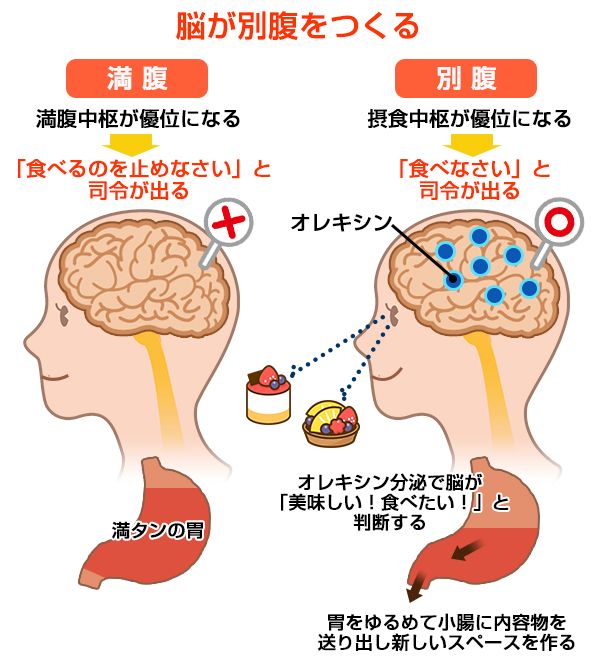 別腹って本当にあるの 本当の美しさを求めてーかぐや治療院 楽天ブログ