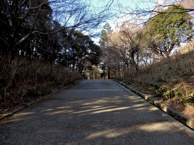 あじさい坂11