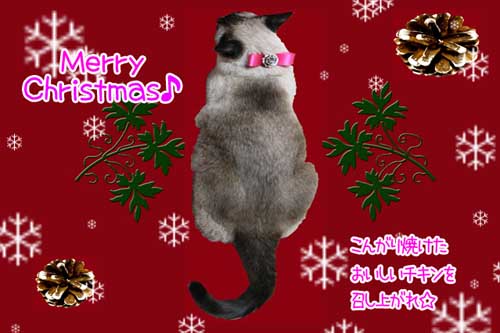 クリスマスカード.jpg