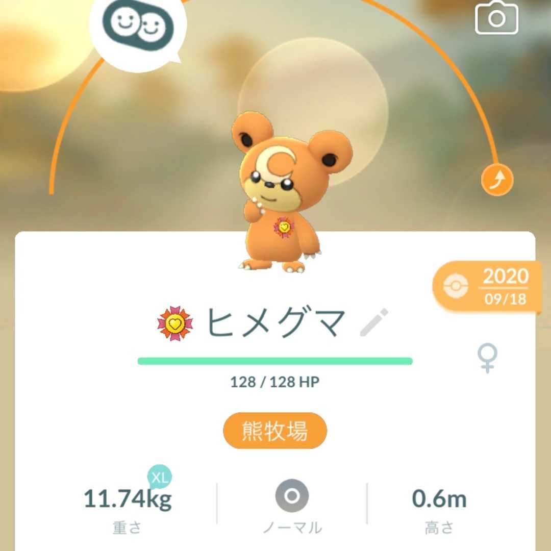 今日はポケゴーデビュー1周年記念日 一筆啓上ヒメグマ日記 楽天ブログ