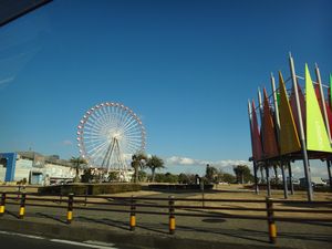 19.jpg