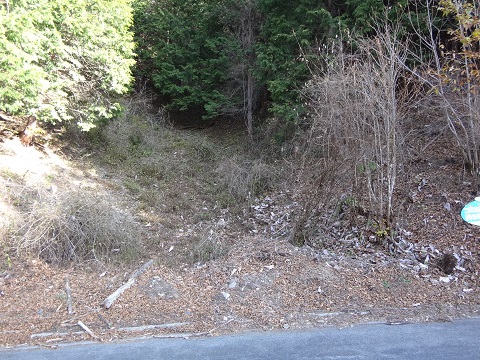 DSC00117.JPG