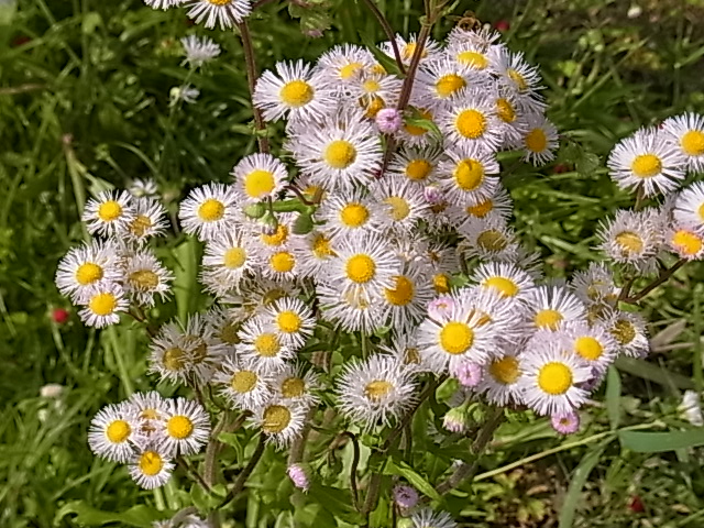 RIMG0183.JPG