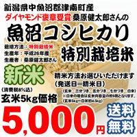 コシヒカリ玄米