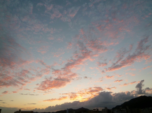 016 (500x370).jpg