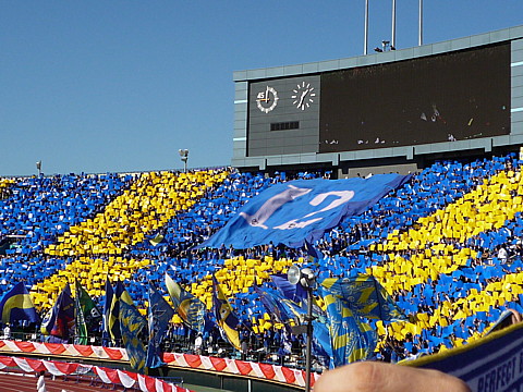 P1000992.jpg