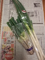 PC130931.JPG