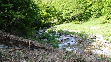 010.JPG