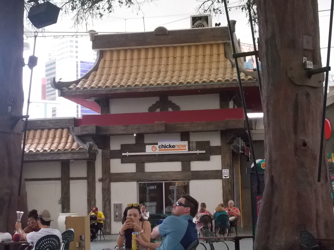 DSCN2856.JPG