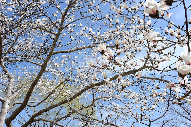 2013.3.22 029.JPG