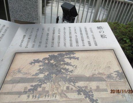 田蓑橋 たみのばし 堂島川 おしゃれ手紙 楽天ブログ