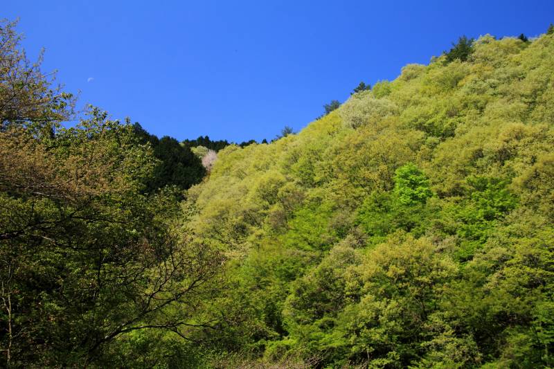 金剛山_001.jpg