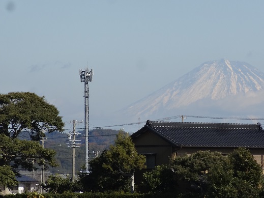 DSC02480.JPG