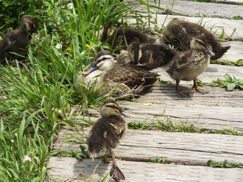 小池公園にて