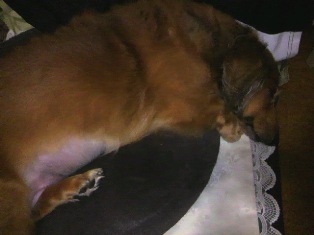 2012063012130000.jpg