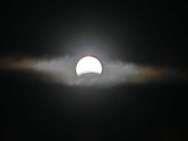 CIMG7548.jpg