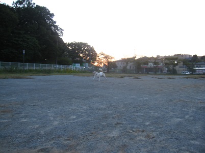 IMG_2512.JPG