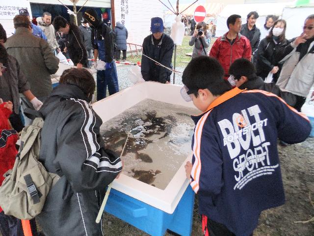 DSCF2607.jpg