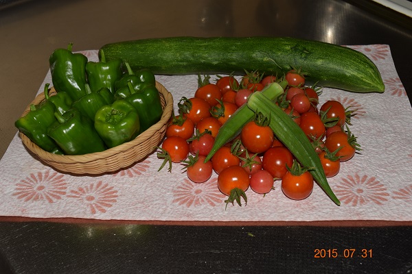 DSC_0057.JPG