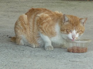 P1020192-ass.jpg