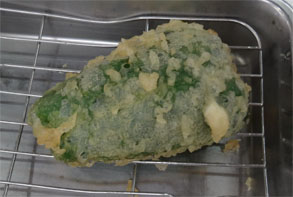 九州830.jpg