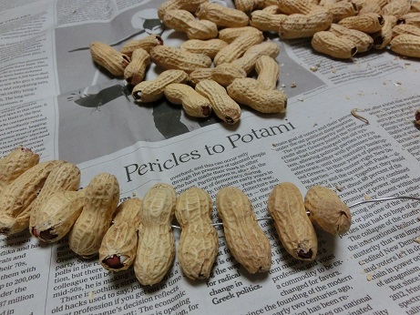 ピーナッツリース